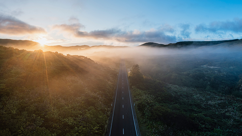 2025 Midyear Outlook: As the fog of uncertainty lifts, what’s next for investors? Image