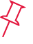 Pin icon